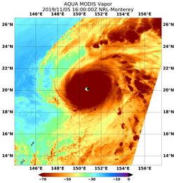 南海最新胚胎91w,揭秘热带气旋的孕育之路